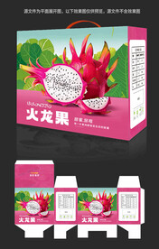 火龙果包装
