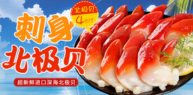北极贝 海鲜banner