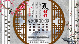 夏季养生背景墙