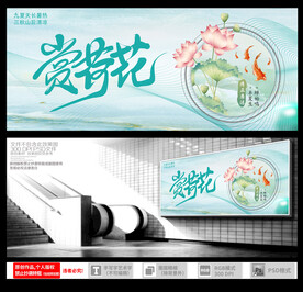 赏荷花