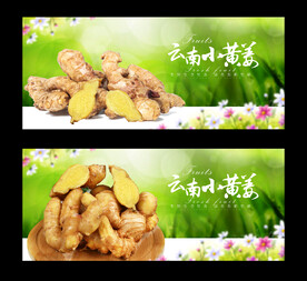 小黄姜