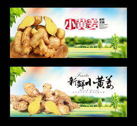小黄姜
