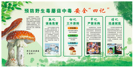预防野生毒蘑菇