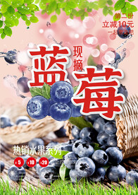 蓝莓