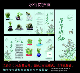 水仙花折页