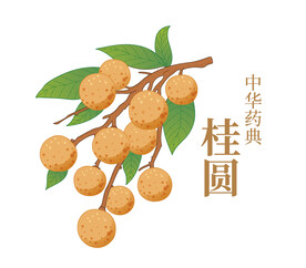 桂圆