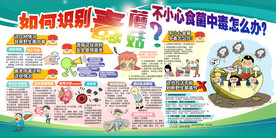 如何识别毒蘑菇