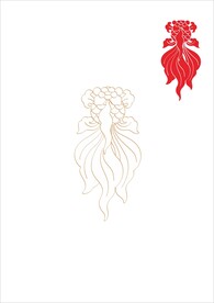 金鱼