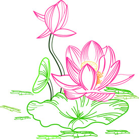 矢量荷花