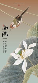 小满 节气