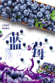蓝莓水果