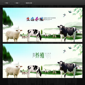 养殖