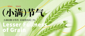 小满微信公众号