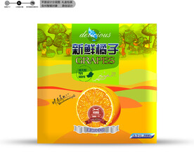 橘子包装 效果分层文件