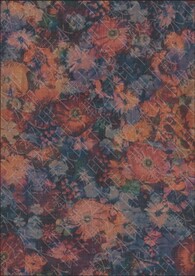 中老年花