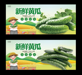 黄瓜
