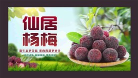 杨梅