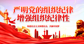 严明党的组织纪律