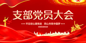 支部党员大会