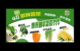 蔬菜海报