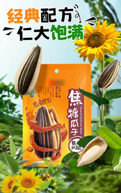 瓜子海报图片