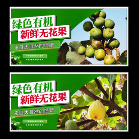 无花果