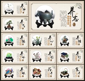 养生文化