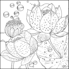 白描荷花
