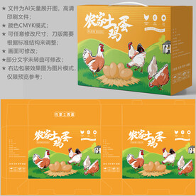 鸡蛋包装 特产礼盒