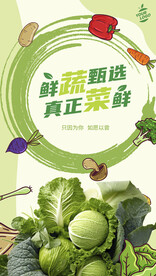 蔬菜海报