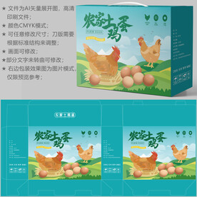 鸡蛋包装 特产礼盒