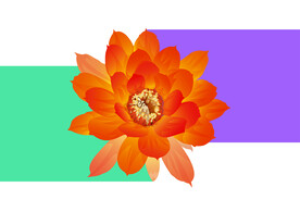 花卉