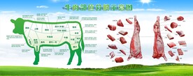 牛肉分解图