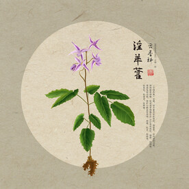 淫羊藿