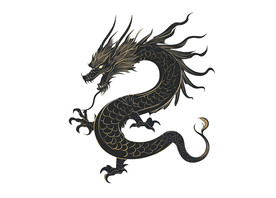 龙图案