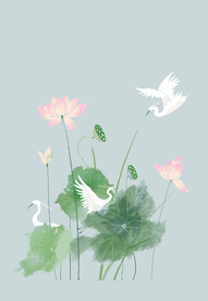 中国风荷花