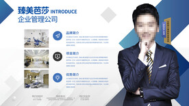 公司企业介绍 简洁展板