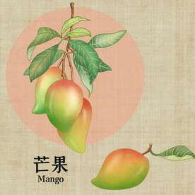 手绘芒果