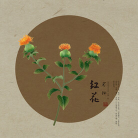 红花线描