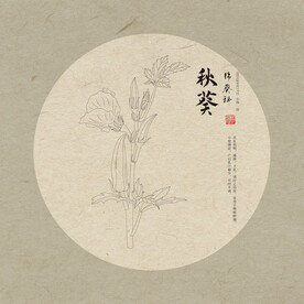 秋葵
