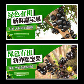 嘉宝果