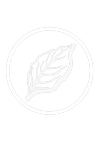 CAD树叶