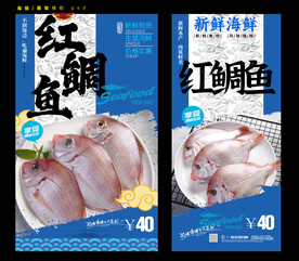 红鲷鱼