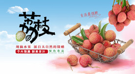 荔枝海报
