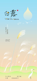 二十四节气白露海报