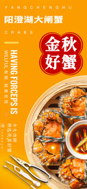 阳澄湖大闸蟹