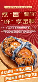 阳澄湖大闸蟹