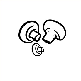蘑菇线描