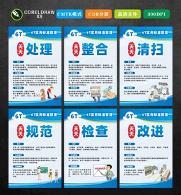6T管理