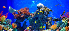 水族馆海底世界